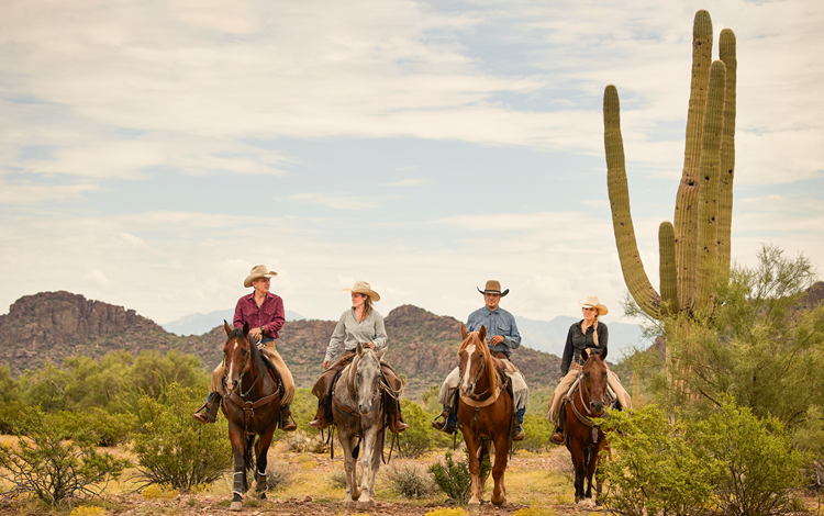 four people on horse back riding through the desert.